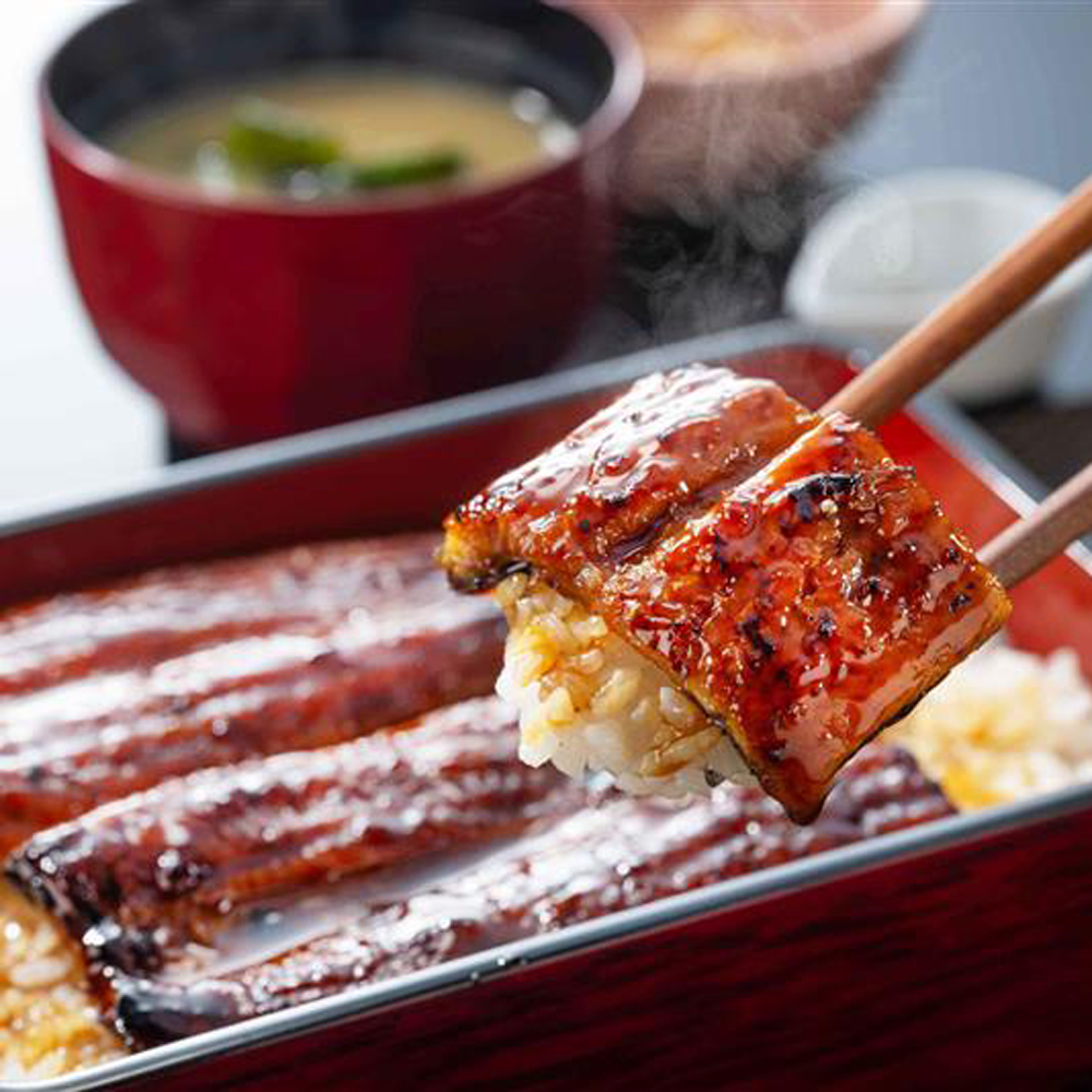 【1万食限定】国産鰻のうな重